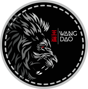 logo-wangdao